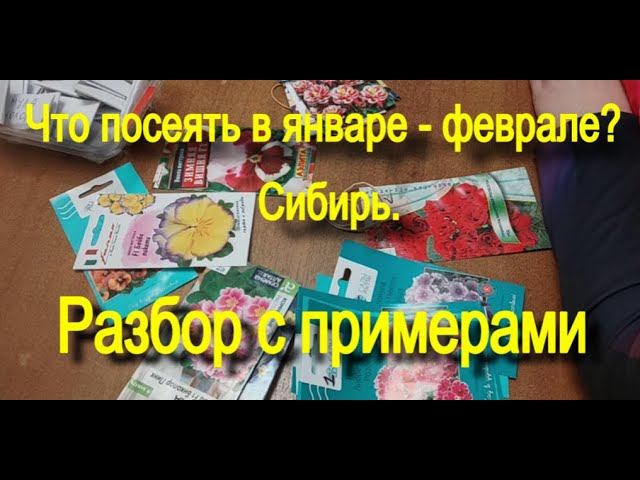 Что посеять в январе и феврале в Сибири? смотреть онлайн