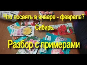Что посеять в январе и феврале в Сибири?