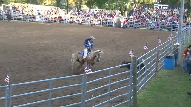 Lydia Jones - 2018 WNFR Flag Girl Application Video смотреть онлайн
