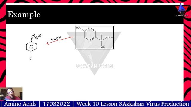 Week 10 Lesson 3 | Amino Acids смотреть онлайн