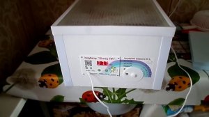 Обзор инкубатора Блиц ПК