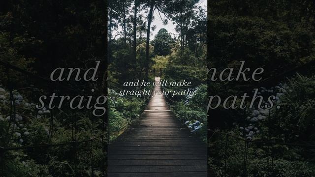 Proverbs 3:5-6 | Trust in the Lord with all your heart смотреть онлайн