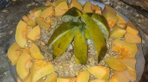 ЛЮБИМАЯ каша НУТРИЙ. 01.11.24