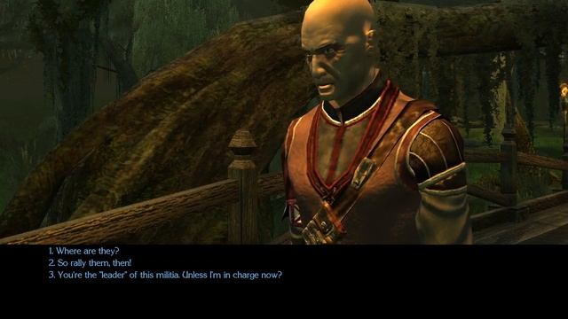 Neverwinter Nights Lorerun Announcement смотреть онлайн