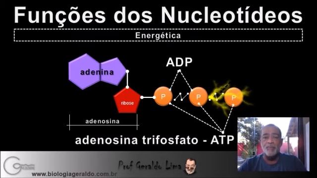Ácidos Nucleicos 1 смотреть онлайн