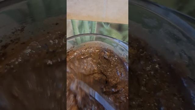 пирог высокобелковый с балансиром от ГРИНВЕЙ смотреть онлайн