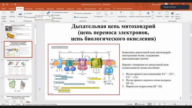 лекция 21.03.22 Дыхательные цепи. Окислительное фосфорилирование смотреть онлайн