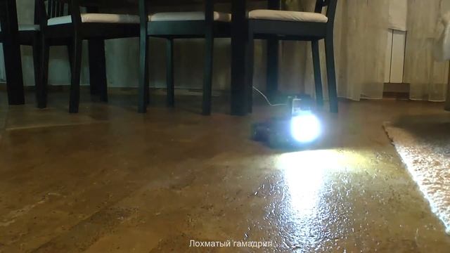 Отрифмованные кот и собака смотреть онлайн