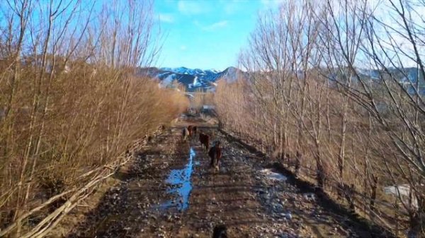 Кыргызстан 2024 - Kyrgyzstan 2024