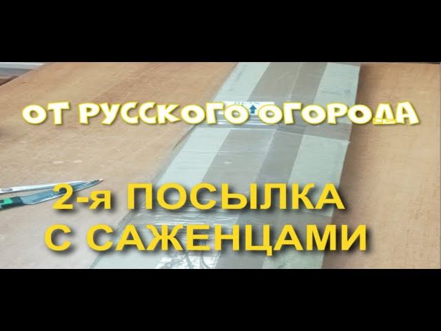 ОСЕННИЕ САЖЕНЦЫ ОТ "РУССКОГО ОГОРОДА". 2-Я ПОСЫЛКА. смотреть онлайн