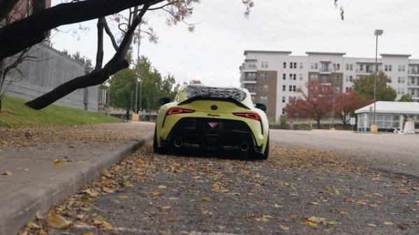 MVDNES - SELF DISCIPLINE