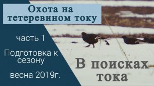 Охота на тетеревином току / Поиск тока