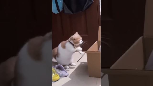 Корпорация Юмора - Видео от Корпорация Юмора смотреть онлайн