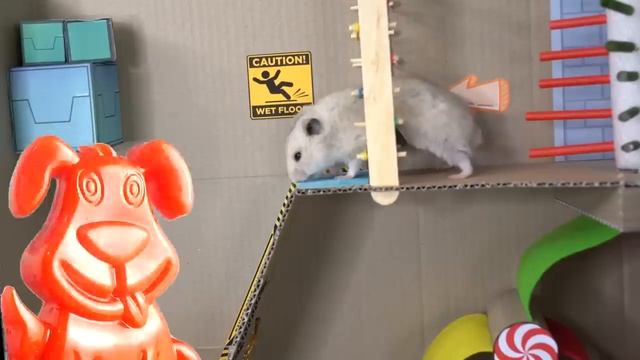 Хомяк убегает от Хаги Ваги вместе с желейным пёсиком Стасиком через лабиринт смотреть онлайн