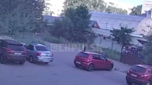 Новый город, проспект Генерала Тюленева — во дворе поликлиники № 2 стая собак загрызла котенка.