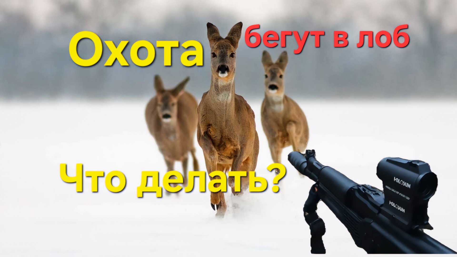 Охота на косулю,загон. На встречке. смотреть онлайн