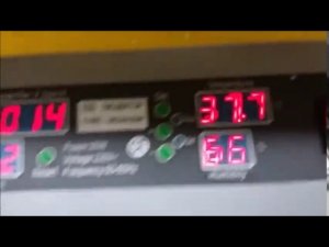 Точность температуры китайского инкубатора