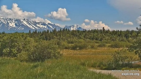Катмай. Аляска  -  Katmai. Alaska