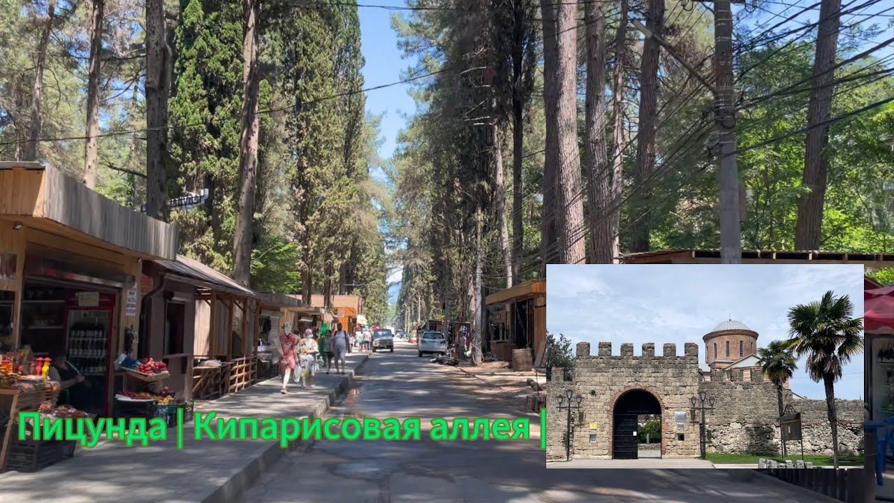 Пицунда, прогулка по Кипарисовой аллее и реликтовой сосновой роще. смотреть онлайн