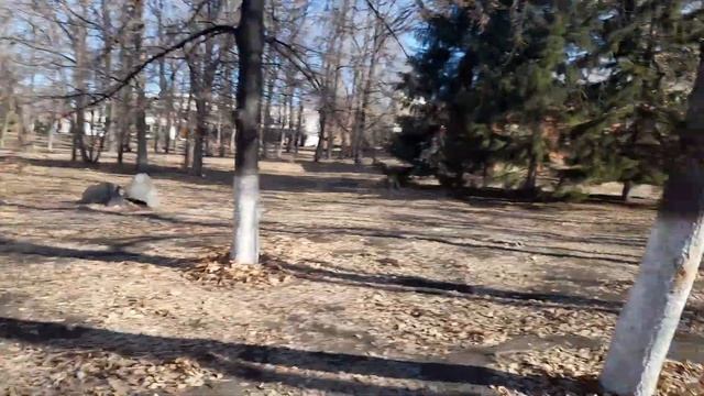 Пешая прогулка #1 смотреть онлайн