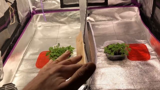 Spectrum Vs Intensity Part 3 | Hidden Harvest And Atreum Lighting