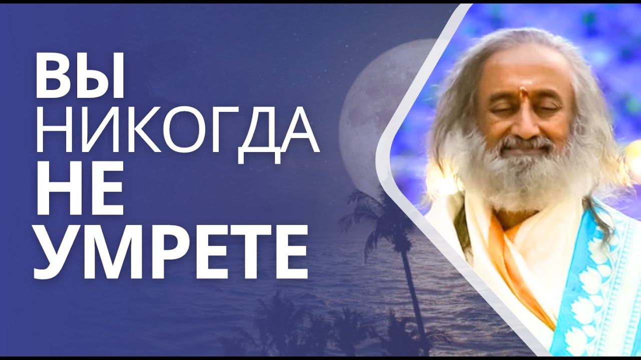 Вы никогда не умрете смотреть онлайн
