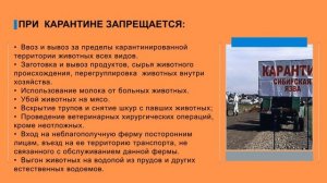 Эпизоотия