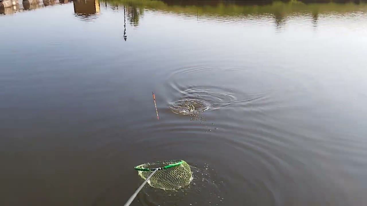 VID 20230604 064303 смотреть онлайн