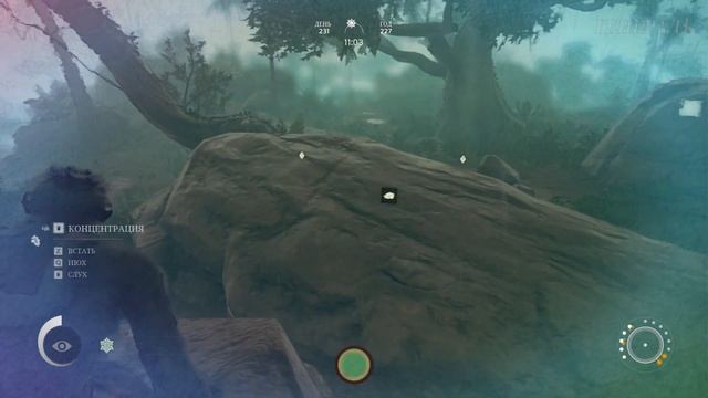 Джунгли закончились? Ancestors: The Humankind Odyssey #25 смотреть онлайн