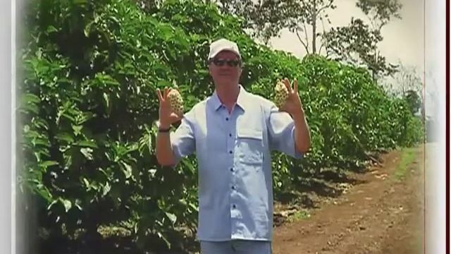 Підвищення імунітету смотреть онлайн