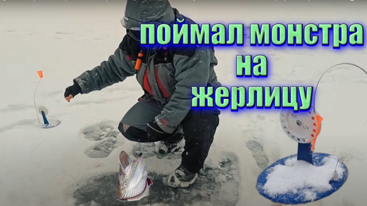Щука на жерлицы: первый лед на реке, секретная оснастка, лучший живец зимой для трофейной рыбалки.