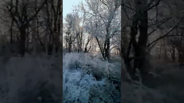 Природа смотреть онлайн