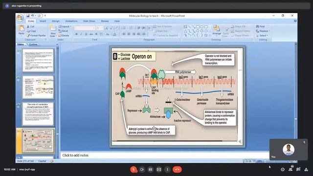 CONTROLL OF DNA REPLICATION (Biochemistry class) смотреть онлайн