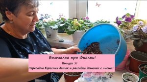 Болталка про Фиалки! Выпуск 1: Пересадка взрослых деток и рассадка деточек с листа!