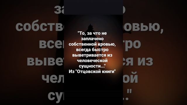 #рдрс #отцовскаякнига #философия #жизнь #саморазвитие смотреть онлайн