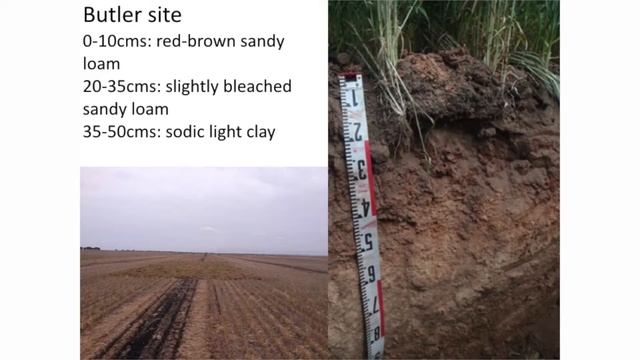 Scratching the Surface: soil biology in agriculture, March 2017: David Davenport смотреть онлайн