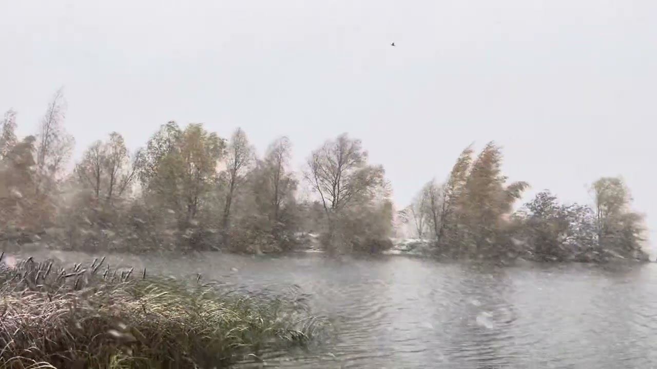 ПЕРВЫЙ СНЕГ в середине октября/метель/зима близко. смотреть онлайн