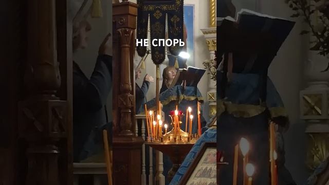 Никогда не спорь! Слава Богу за всё!..☀️ Красота Истинно! смотреть онлайн