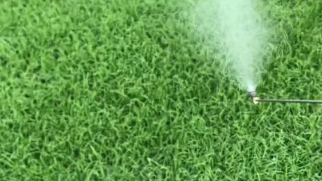 HOW TO SPRAY CHELATED CALCIUM NITRATE TO RICE SEEDLINGS || TECHPOPOP.NET смотреть онлайн