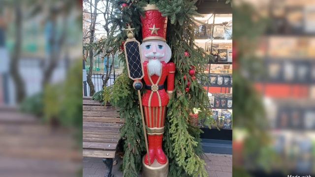 Декабрьский день в предновогоднем Светлогорске 2024 смотреть онлайн