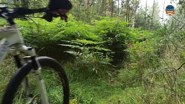 Подготовка FOX24