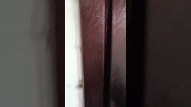 Продается 2этажный дом смотреть онлайн