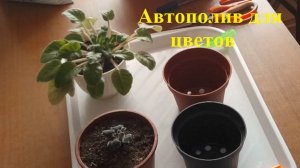 Горшки с #фитильным поливом для комнатных цветов своими руками.