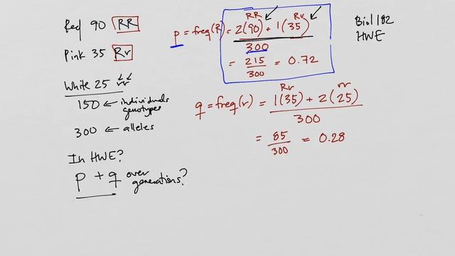 Testing Hardy-Weinberg equilibrium смотреть онлайн
