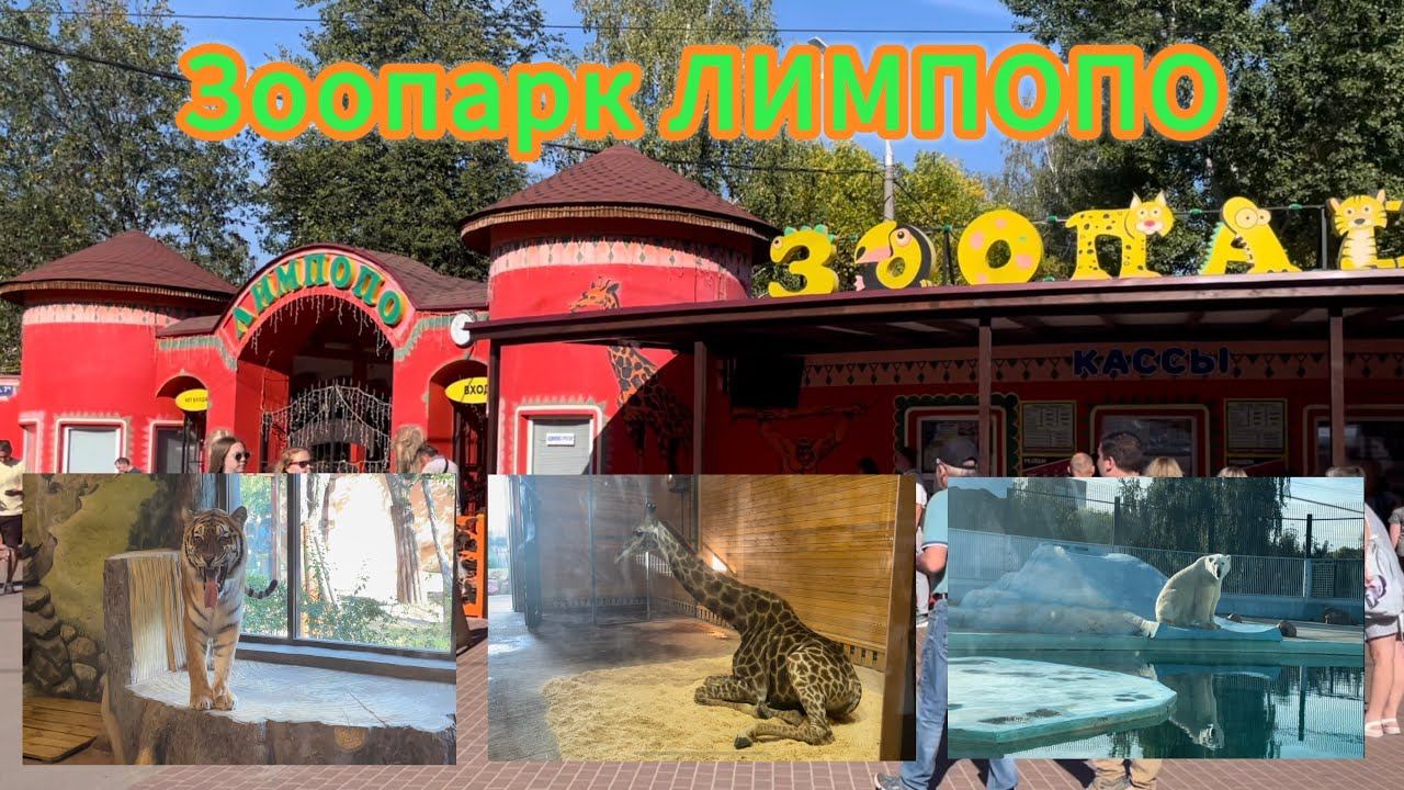 Кто живёт в зоопарке Лимпопо? Выходные в Нижнем Новгороде. смотреть онлайн