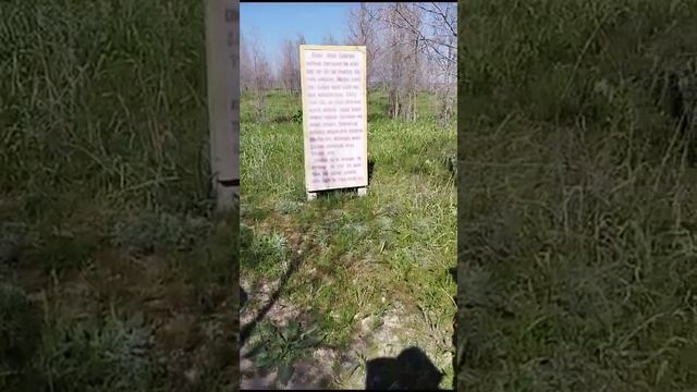 Домалақ (Нұрила) ана туған жерінде Топағаш бар. Әулие 1 ағашта ұлы орта кіші жүз 3 жапырағы өскен. смотреть онлайн
