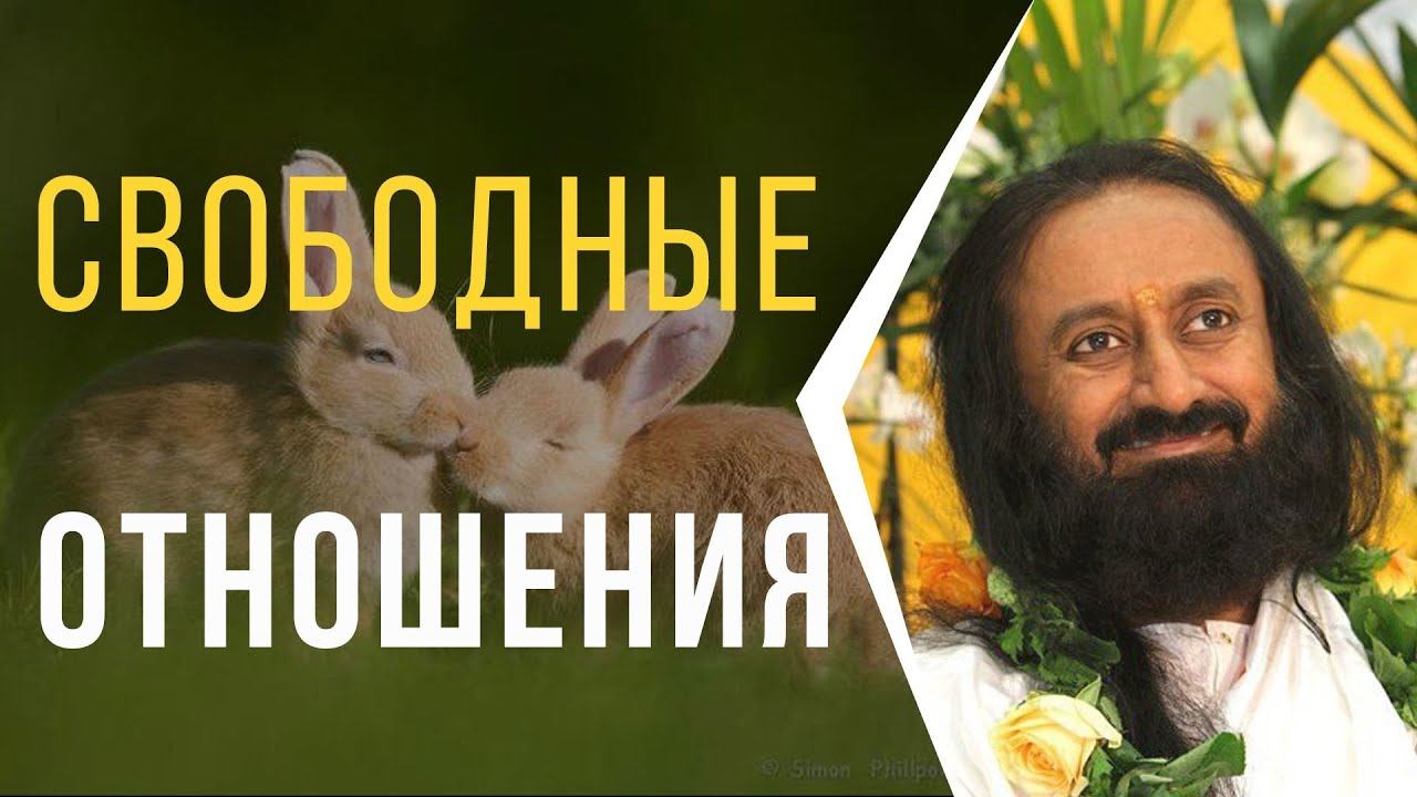 Свободные отношения (вопросы молодежи) смотреть онлайн