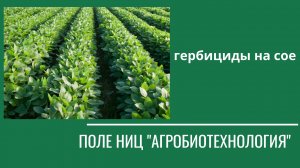 Подбор эффективных гербицидов на сое