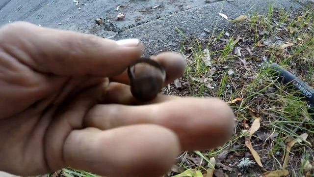 Metal Detecting one silver ring and a bunch of costume jewelry with the V3i смотреть онлайн