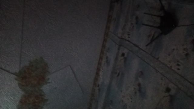 VID_20241211_150700.mp4 смотреть онлайн